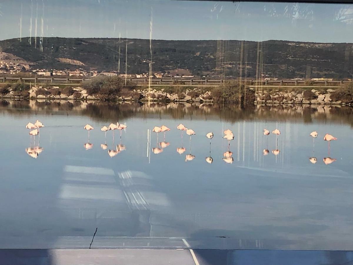 Flamants Roses 3 Campsite