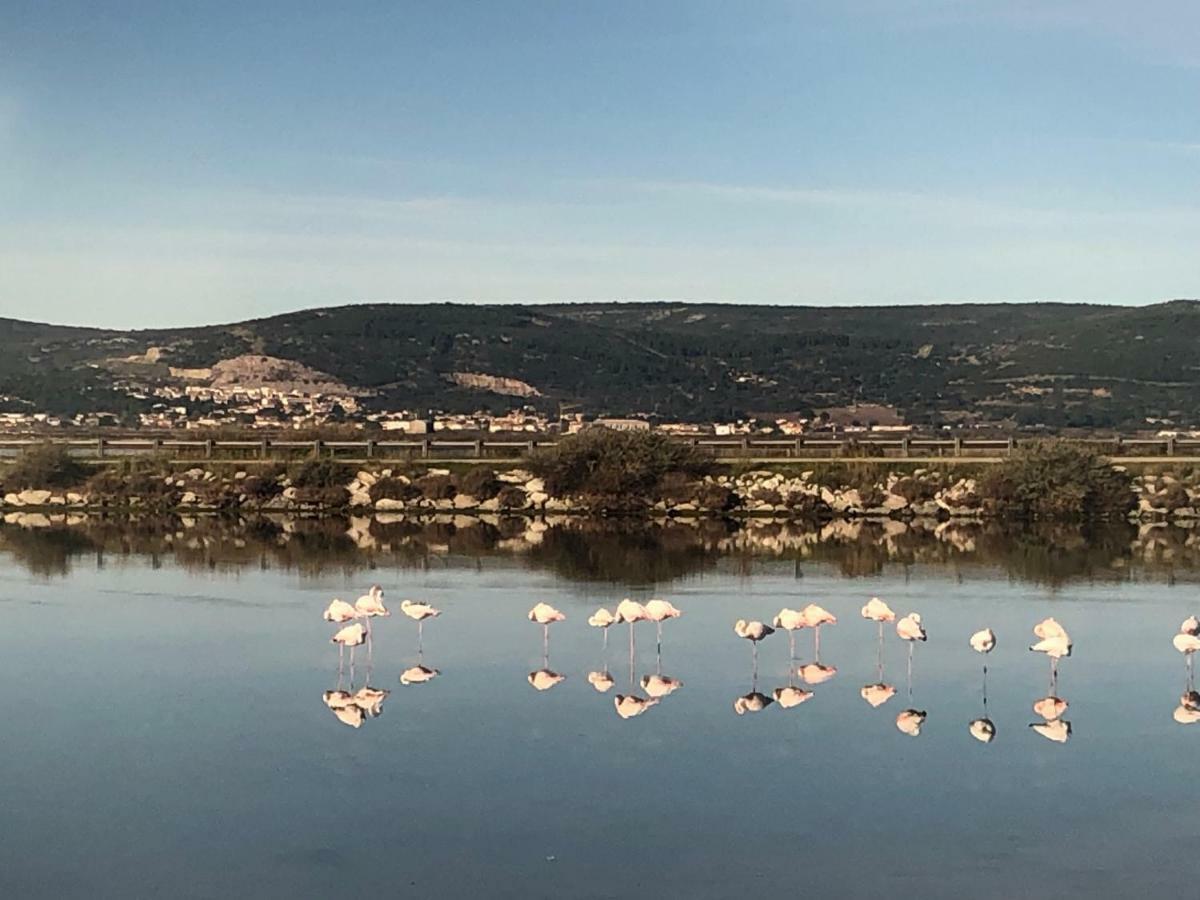 Campsite Flamants Roses 3 *